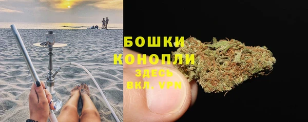 a pvp Белокуриха